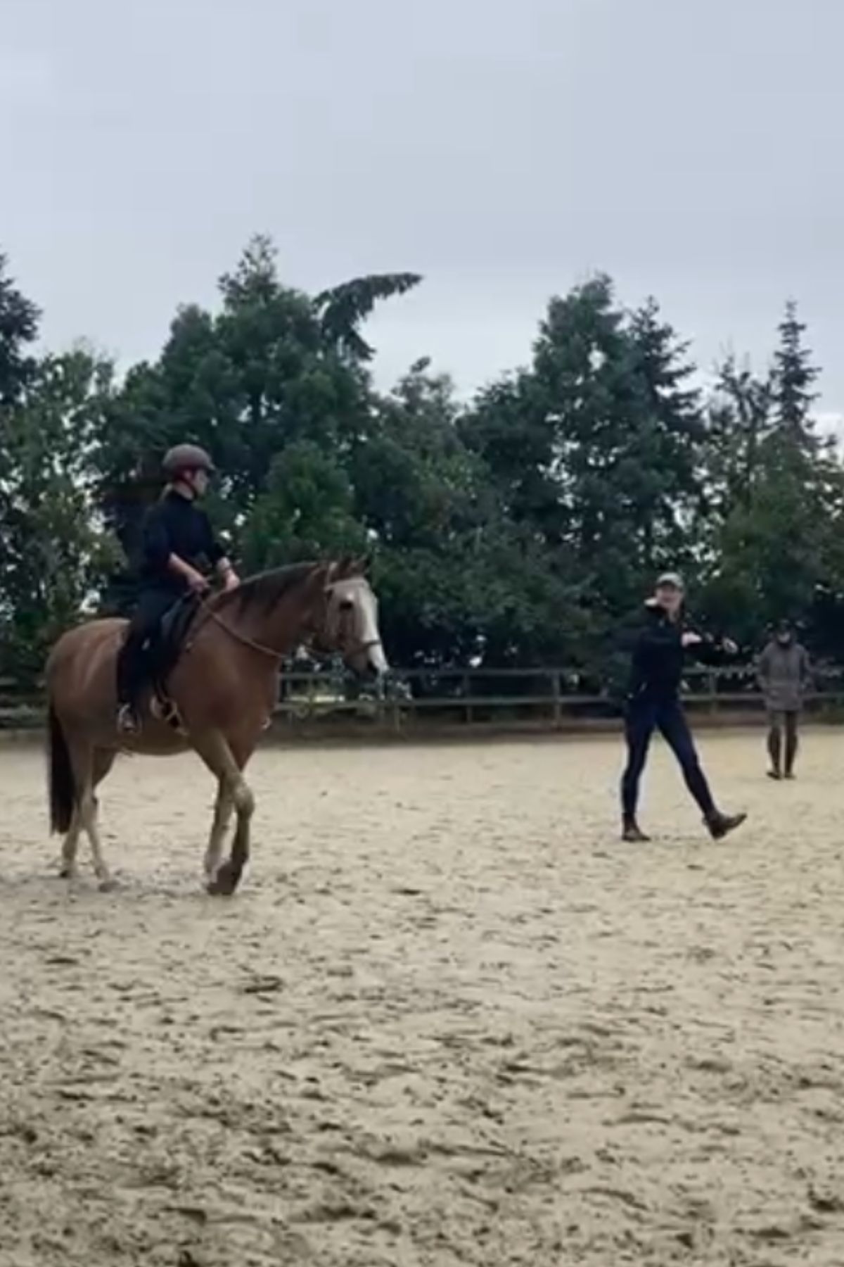 Seminare Reiten Maike Nölscher