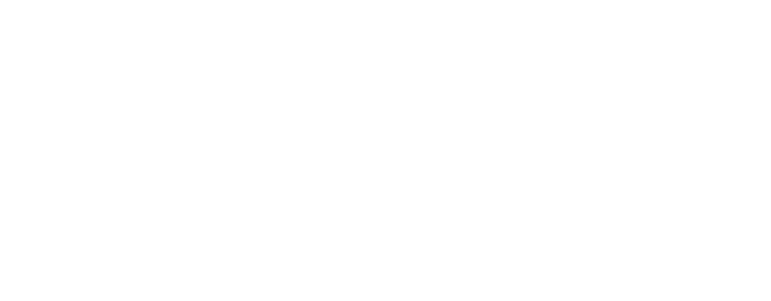 Logo-Maike-Nölscher-Bildmarke-weiss