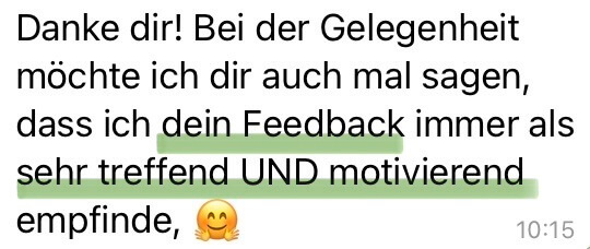 Kundin gibt Maike Nölscher Feedback für die Online Betreuung im Pferdetraining