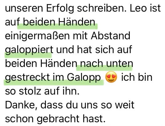 Feedback einer Kundin von Maike Nölscher für ihren Reitunterricht
