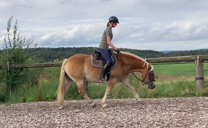 Maike Nölscher reitet das Pferd einer ihrer Reitschülerinnen beim mobilen Beritt im Raum Heilbronn