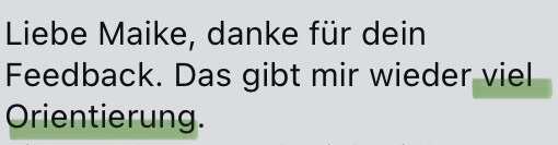 Rezension für Online Betreuung von Maike Nölscher