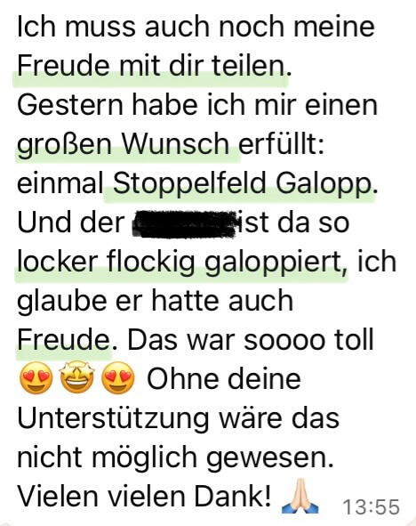 Kundin berichtet Maike Nölscher über Fortschritte mit ihrem Pferd im Online Reitunterricht